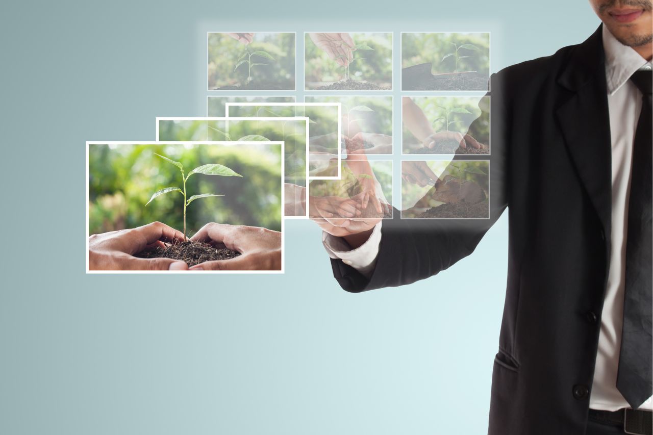 Energía limpia para todos: Bi Bank Panamá promueve la transición hacia un futuro sostenible